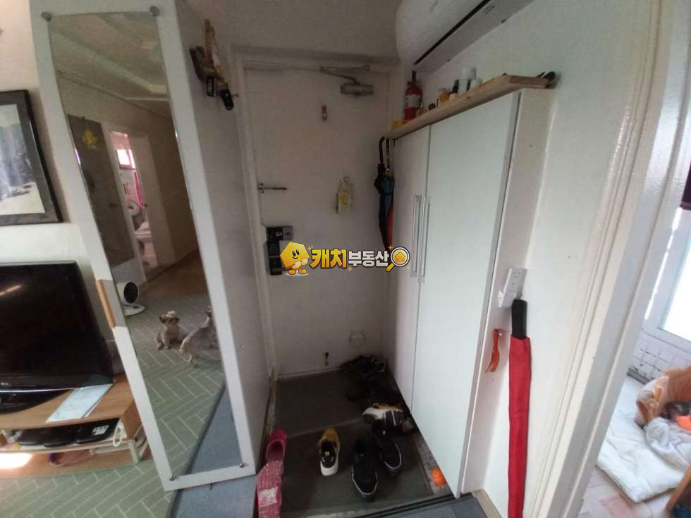 경기 오산시 오산동 캐치 l 구옥 l 33122 l 정우파크빌라 l 투룸 매매 매물번호 33165 사진 1