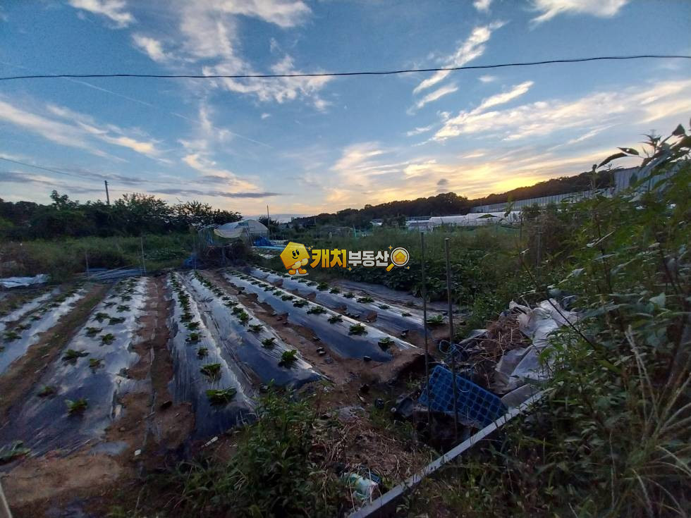 경기 고양덕양구 주교동 캐치 l 준신축 l 38116 l 우드사이드힐 l 쓰리룸 매매 매물번호 33323 사진 23