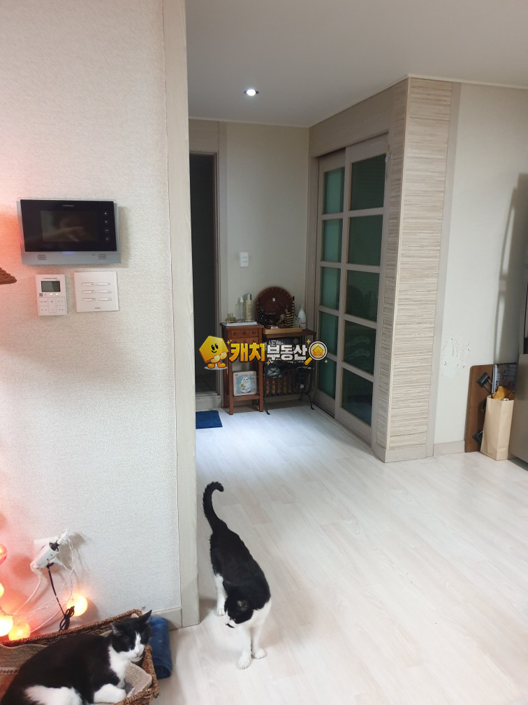 인천 검단구 마전동 캐치 l 구옥 l 18664 l 노블레스밸리 l 쓰리룸 매매 매물번호 33541 사진 8