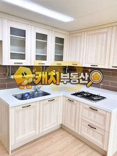 서울 강서구 등촌동 캐치 l 구옥 l 18831 l 에비앙하우스 l 투룸 매매 매물번호 33561 사진 9