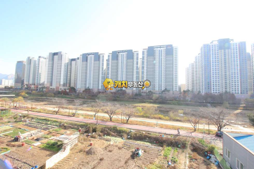 경기 고양덕양구 삼송동 캐치 l 신축 l 19154 l P177 l 복층 테라스 분양 매물번호 33580 사진 19