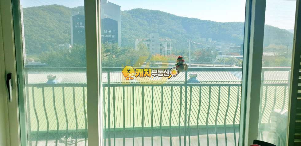 경기 광주시 초월읍 지월리 캐치 l 구옥 l 21370 l MJ하우스 l 쓰리룸 매매 매물번호 33623 사진 8