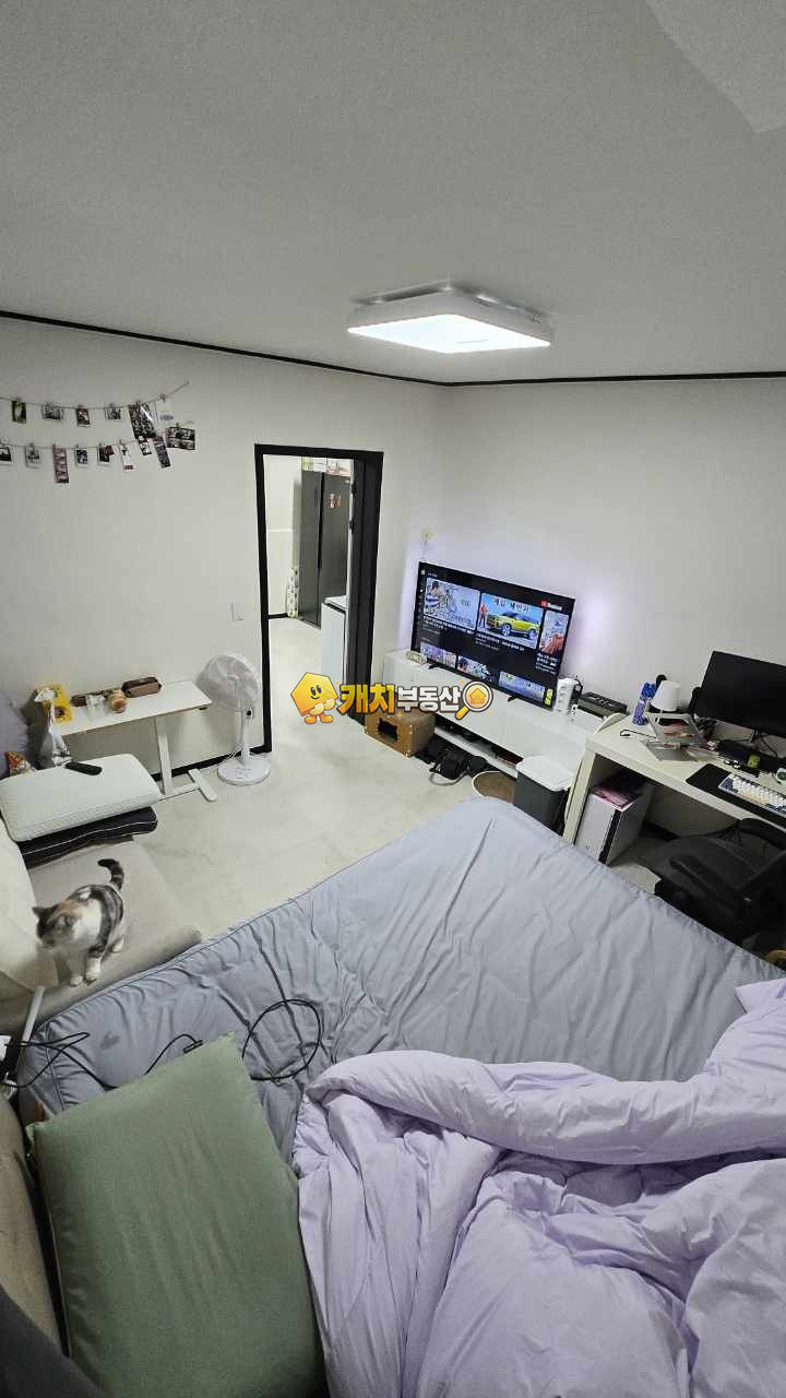 서울 마포구 아현동 캐치 l 구옥 l 29978 l 건물명없음 l 쓰리룸 매매 매물번호 34144 사진 2