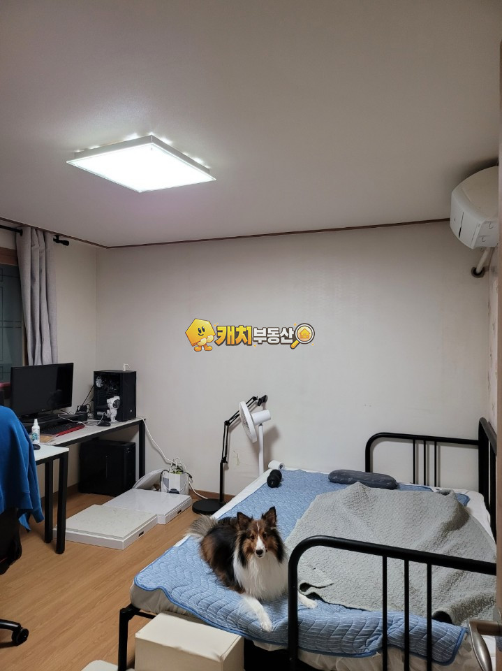 경기 광주시 장지동 캐치 l 구옥 l 31698 l 힐하우스 l 쓰리룸 매매 매물번호 34325 사진 9
