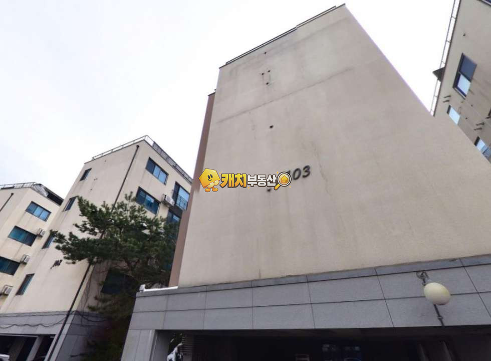 경기 광주시 신현동 캐치 l 구옥 l 32637 l 더베일리하우스 l 복층 테라스 매매 매물번호 34491 사진 1