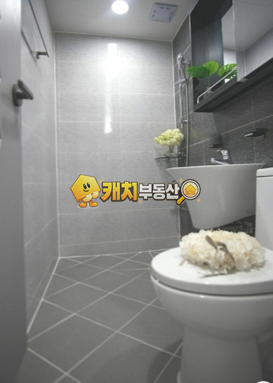 서울 양천구 신월동 캐치 l 준신축 l 33402 l 아줄리움 l 투룸 매매 매물번호 35119 사진 4