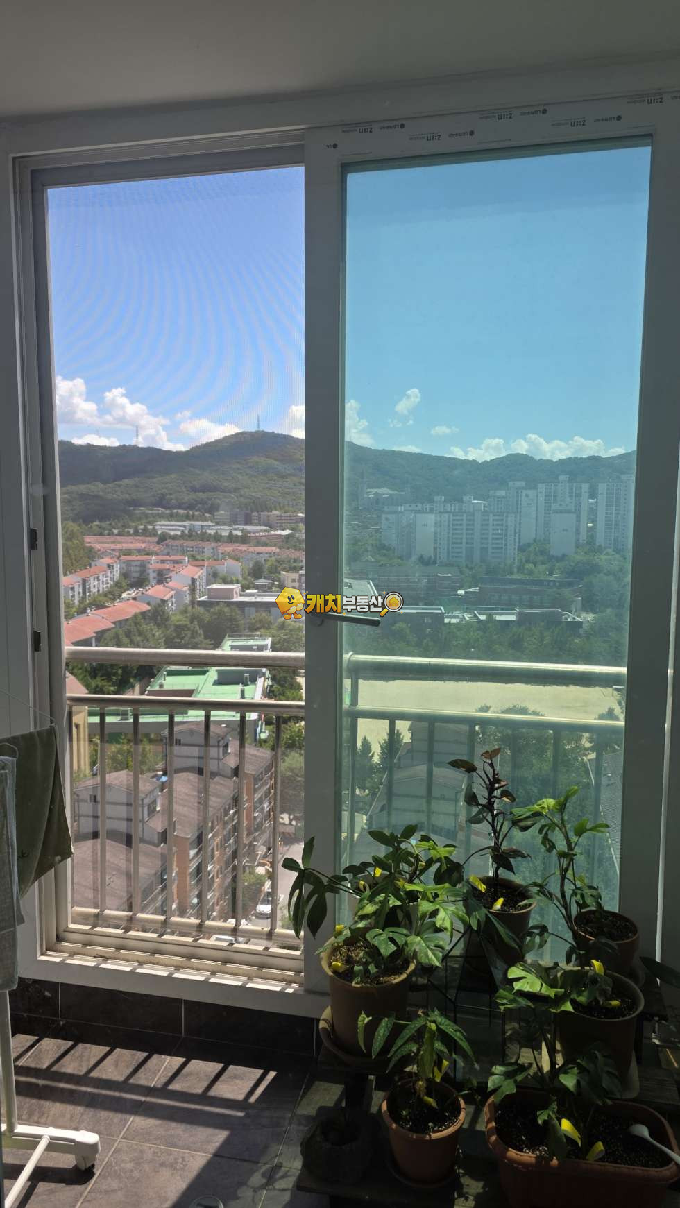 경기 성남분당구 서현동 캐치 l 구옥 l 36501 l 효자촌임광 l 쓰리룸 매매 매물번호 35190 사진 3