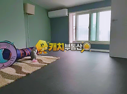 경기 고양일산동구 성석동 캐치 l 구옥 l 35208 l 플로레 l 복층 테라스 l 준신축 매매 매물번호 30868 사진 9