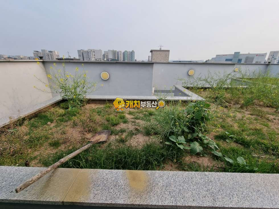 서울 강서구 방화동 캐치 l 구옥 l 35082 l 중앙캐슬 l 쓰리룸 화1 l 준신축 매매 매물번호 30869 사진 6