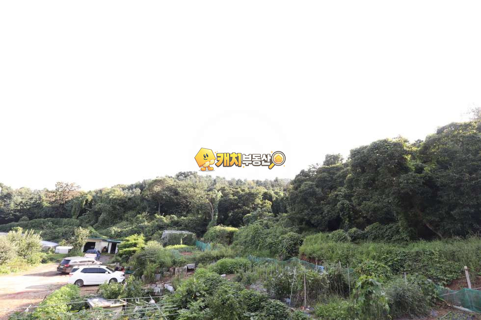 경기 광주시 초월읍 산이리 캐치 l 신축 l 18244 l 스카이힐 l 쓰리룸 분양 매물번호 25412 사진 21