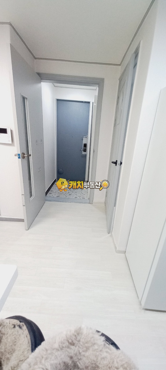 서울 마포구 연남동 캐치 l 구옥 l 30658 l 한마음빌라 l 쓰리룸 l 갭투자 매매 매물번호 31451 사진 4