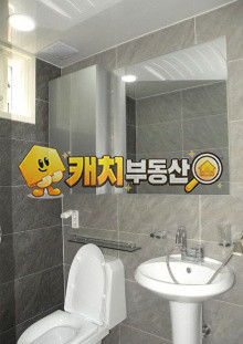 경기 고양일산동구 성석동 캐치 l 구옥 l 31109 l 플로체 l 쓰리룸 l 갭투자 매매 매물번호 31513 사진 9