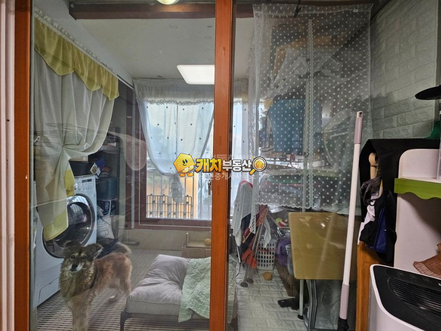 서울 동작구 사당동 캐치 l 구옥 l 34783 l 샤인빌 4층 l 쓰리룸 매매 매물번호 31360 사진 9