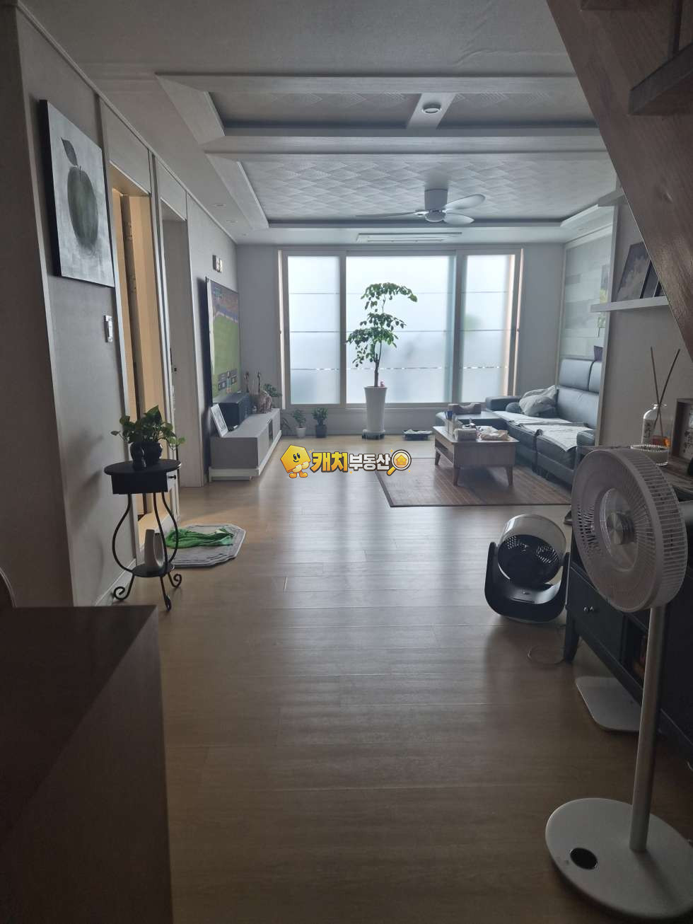 경기 고양일산동구 식사동 캐치 l 준신축 l 35916 l 삼성다빈치 4층 l 육룸 매매 매물번호 31307 사진 1