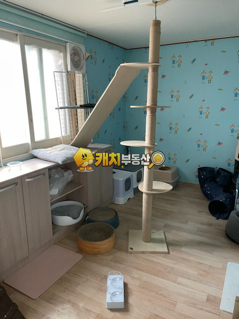 경기 화성병점구 병점동 캐치 l 구옥 l 18089 l 보성그린빌라 4층 l 쓰리룸 l 갭투자 매매 매물번호 32140 사진 8