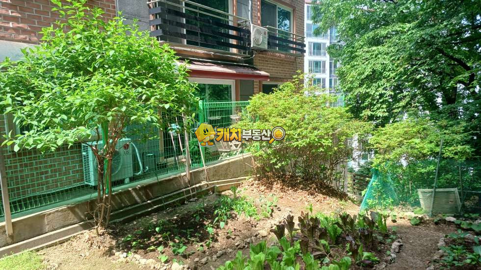 경기 광주시 능평동 캐치 l 구옥 l 36318 l 에코타운 1층 l 쓰리룸 테라스 매매 매물번호 32151 사진 20