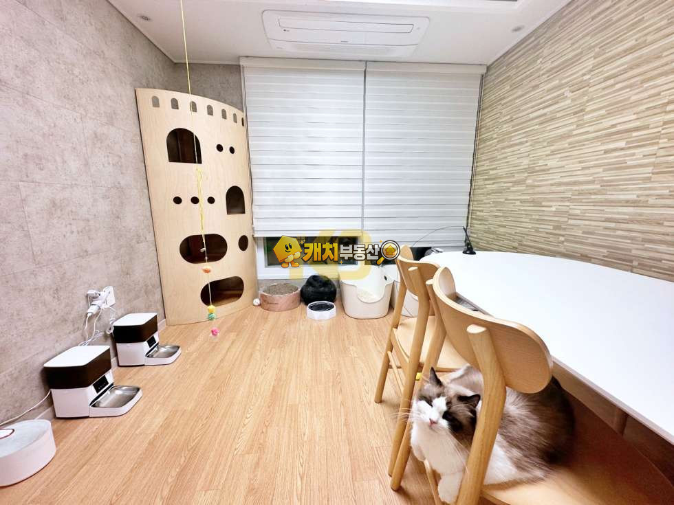 경기 김포시 사우동 캐치 l 준신축 l 23479 l 제이빌리지 3층 l 쓰리룸 매매 매물번호 32168 사진 1