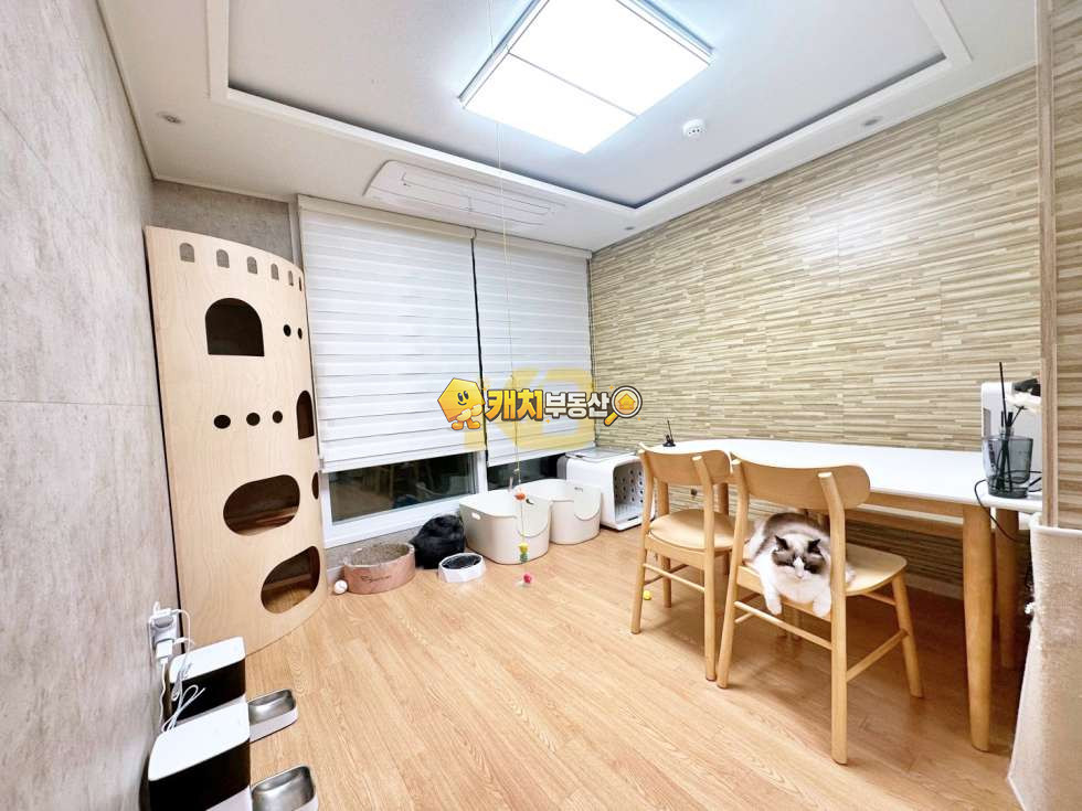 경기 김포시 사우동 캐치 l 준신축 l 23479 l 제이빌리지 3층 l 쓰리룸 매매 매물번호 32168 사진 2