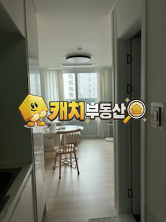 서울 강동구 천호동 캐치 l 구옥 l 31266 l 다성이즈빌 5층 l 투룸 l 갭투자 매매 매물번호 32462 사진 14