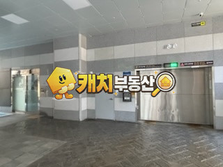 서울 강동구 천호동 캐치 l 구옥 l 31266 l 다성이즈빌 5층 l 투룸 l 갭투자 매매 매물번호 32462 사진 17