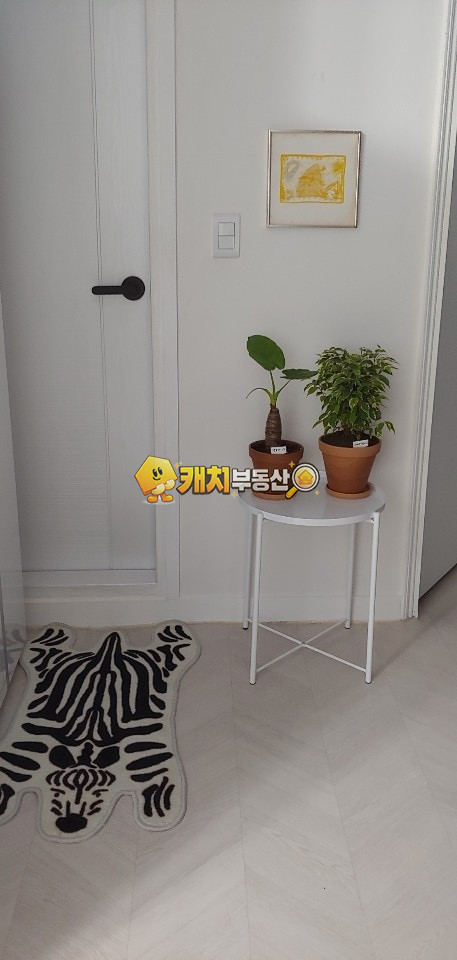 서울 양천구 신월동 캐치 l 구옥 l 30790 l 조광주택 l 쓰리룸 매매 매물번호 32891 사진 6