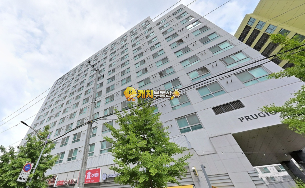 경기 성남중원구 성남동 캐치 l 구옥 l 36494 l 성남센트럴푸르지오시티 l 원룸 매매 매물번호 32996 사진 2