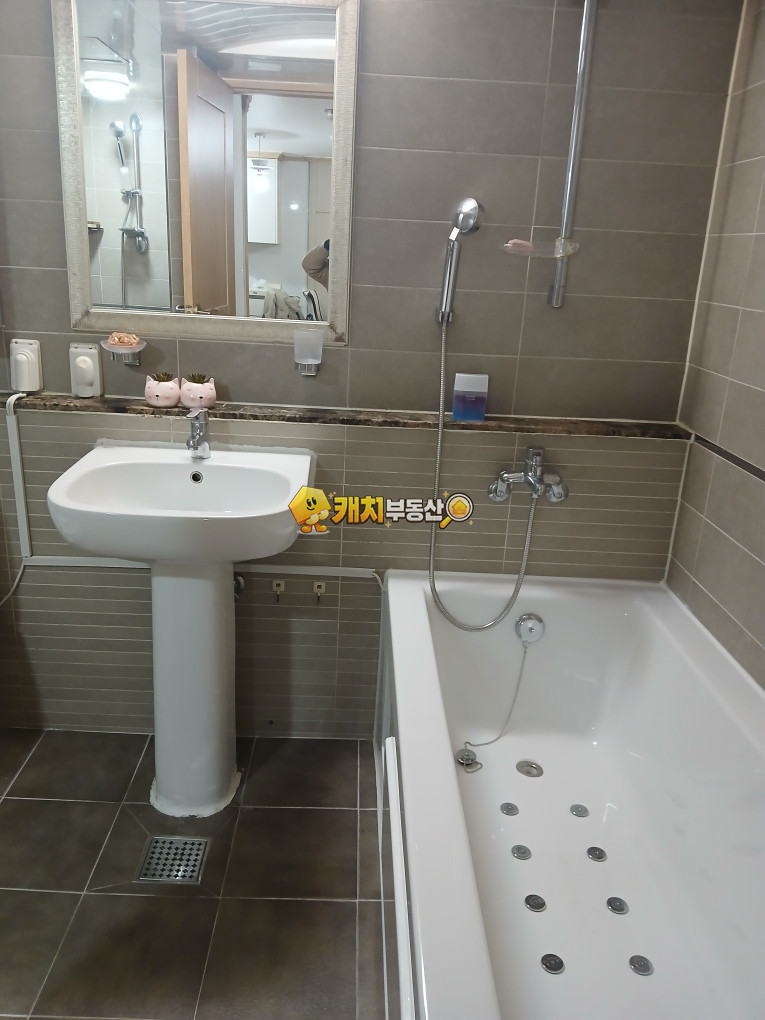 경기 평택시 신장동 캐치 l 구옥 l 32973 l 더팰리스 스위트 l 투룸 매매 매물번호 33040 사진 4